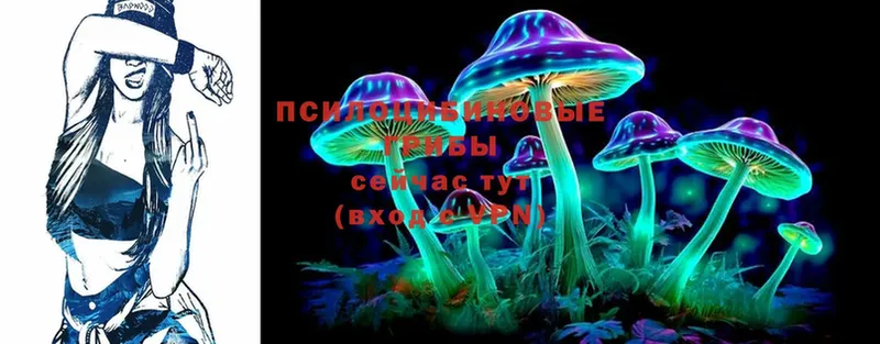 Галлюциногенные грибы Cubensis  закладка  Наволоки 